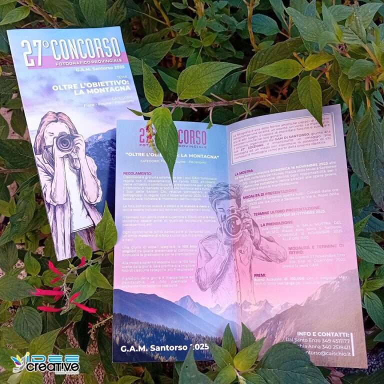 idee creative grafica brochure grafica stampa